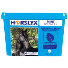 Load image into Gallery viewer, Horslyx Mint
