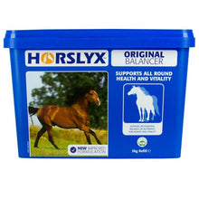 Load image into Gallery viewer, Horslyx Original
