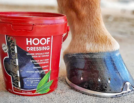 Kevin Bacon Hoof Dressing Original Tub