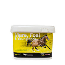 Load image into Gallery viewer, NAF Mare Foal &amp; Youngstock
