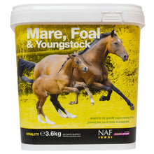 Load image into Gallery viewer, NAF Mare Foal &amp; Youngstock
