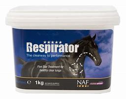 NAF Respirator 5 Star