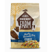 Load image into Gallery viewer, Tiny Friends Farm Gerty Guinea Pig Tasty Mix
